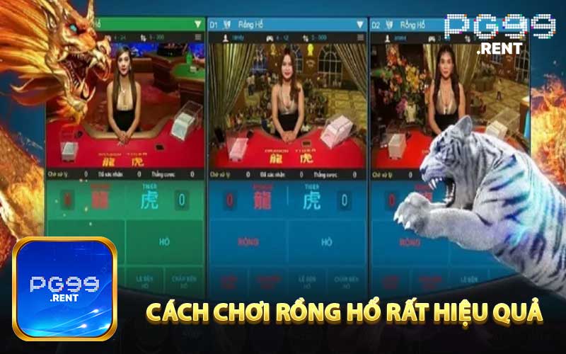 Cách chơi Rồng Hổ hiệu quả